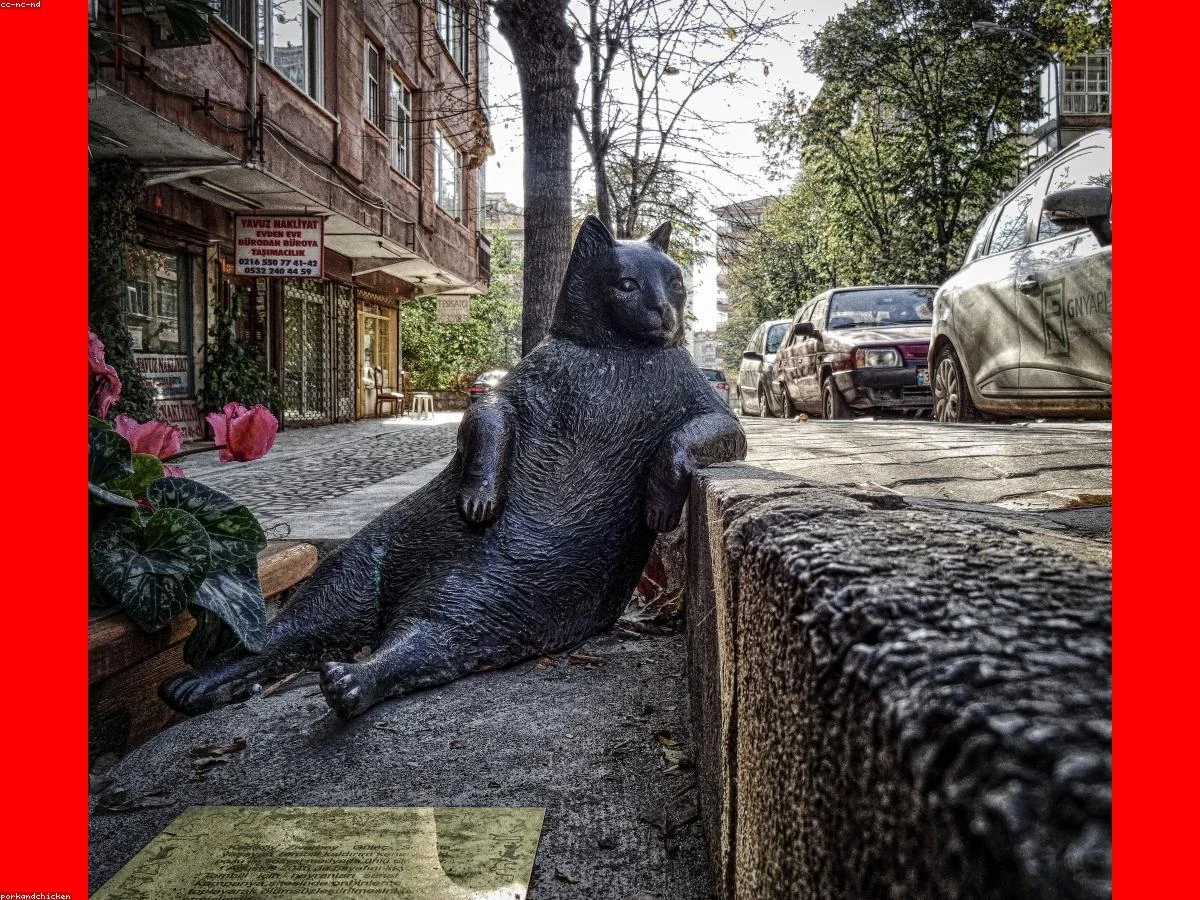 İyi Bir Çakallı Menemeni Nasıl Seçilir?